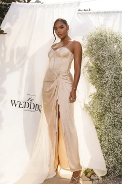 Champagne Leo Matte Satin Bustier*JLUXLABEL Fashion